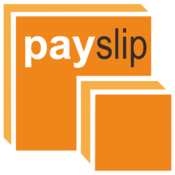 Professional Payslip Templates